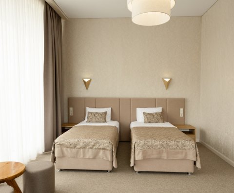 Deluxe 1 room