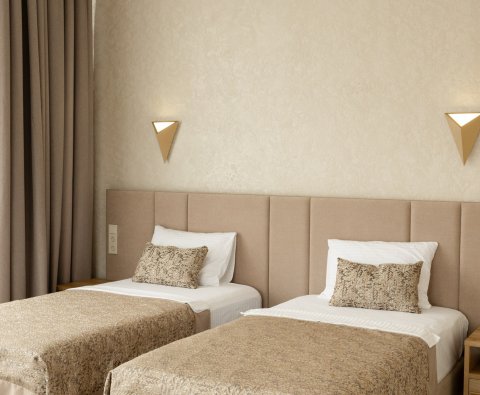 Deluxe 1 room
